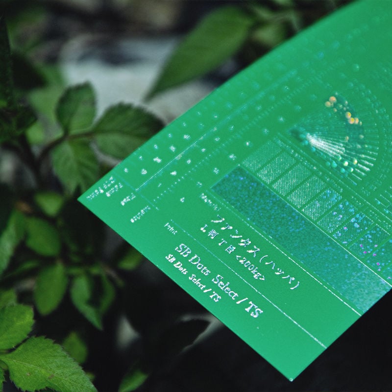 蔵出し大放出 ] FOIL SELECTOR 3.0 | コスモテックサンプル直売所