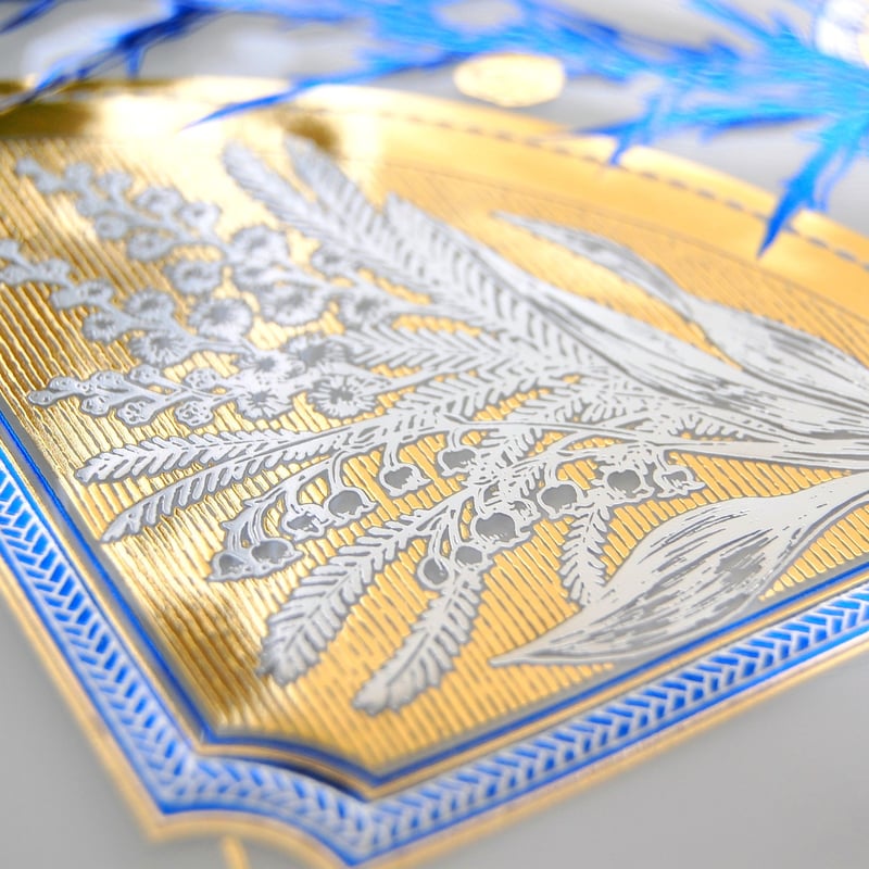 漫画家 青井秋 『 Systema Naturae 』 3色箔押しクリアファイル（ clear