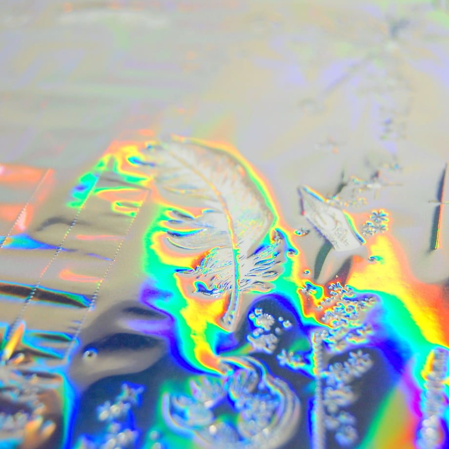 58d919701a704b7c41005017