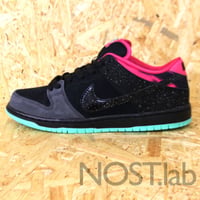 プレミア × ナイキ SB ダンク ロー プレミアム ノーザン ライツ - PREMIER × NIKE SB DUNK LOW PREMIUM NORTHERN LIGHTS(724183-063)
