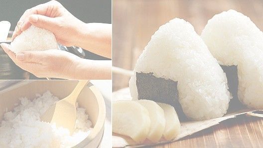 令和7年 福島県 コシヒカリ 1等米 玄米25kg（精米無料） | 業務米