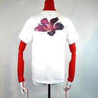 The Extraordinary In The Ordinary T-SH COLOR