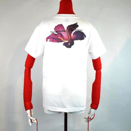 The Extraordinary In The Ordinary T-SH COLOR