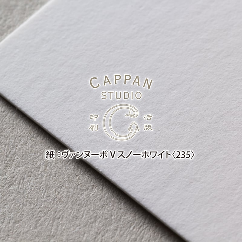 ヴァンヌーボV-FS スノーホワイト 四六判：235kg【無地】 | CAPPAN