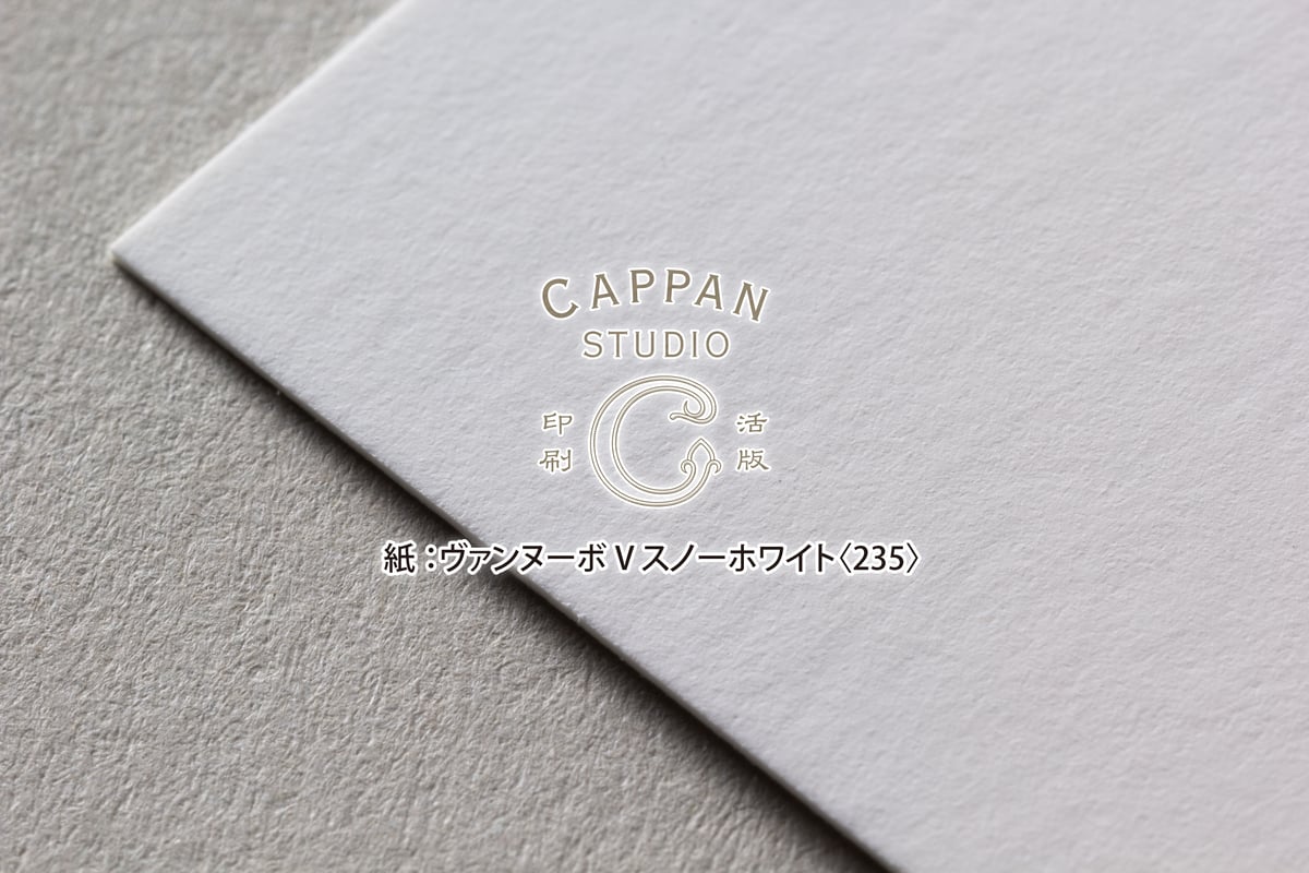 ヴァンヌーボV-FS スノーホワイト 四六判：235kg【無地】 | CAPPAN