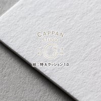 特Aクッション1.0【無地】