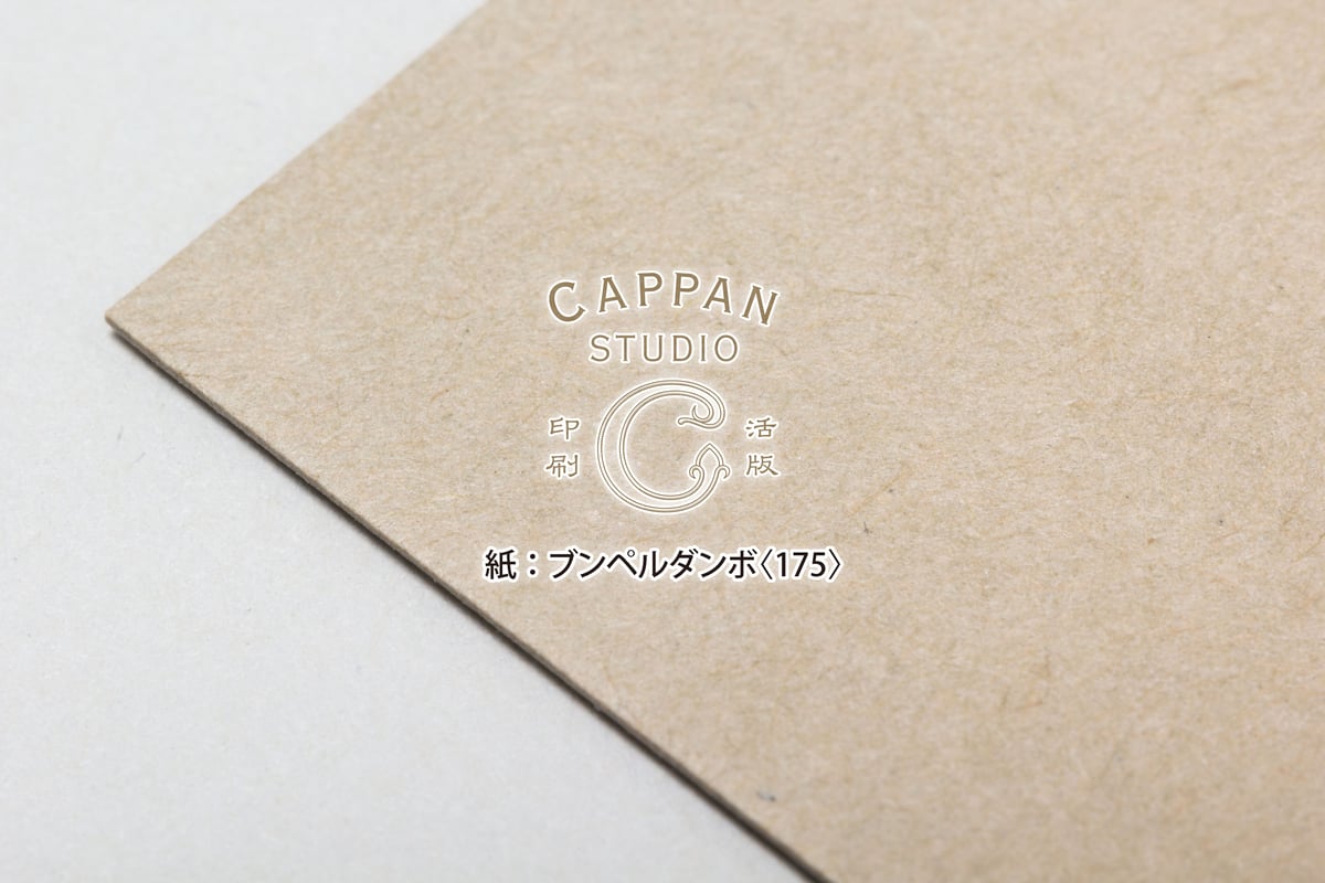 ブンペル ダンボ 四六判：175kg【無地】 | CAPPAN STUDIO 印刷
