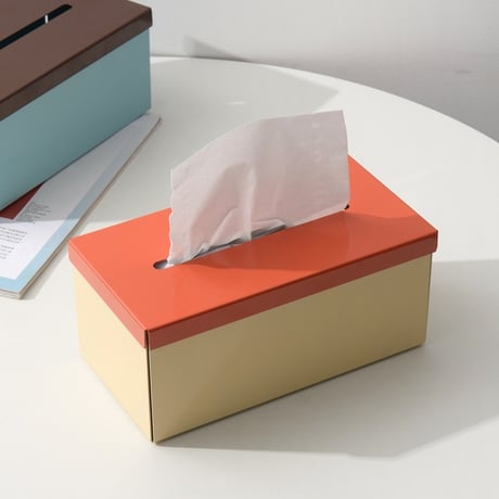 #カラフル アイアン ボックス ティッシュケース 全2色