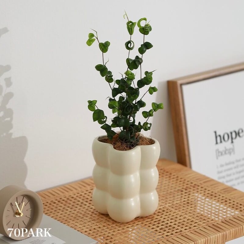 k*o様 希少 状態良好 パタゴニア コンバーチブル デタッチャブル カーゴ パ k*o様 希少 状態良好 パタゴニア コンバーチブル デタッチャブル