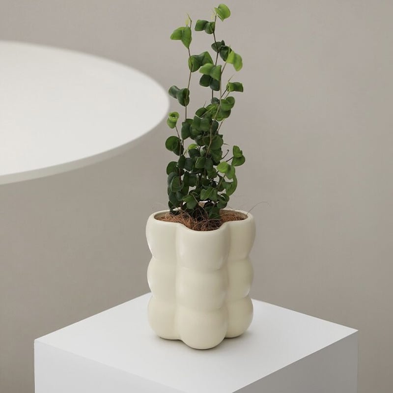 ポコポコ バブル セラミック 鉢カバー 全4色 植木鉢 | 70PARK