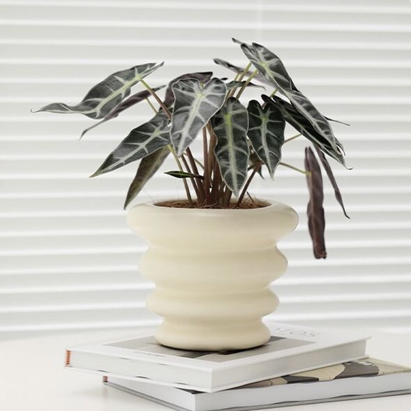 ウエーブ セラミック 鉢カバー 全3色 植木鉢 | 70PARK