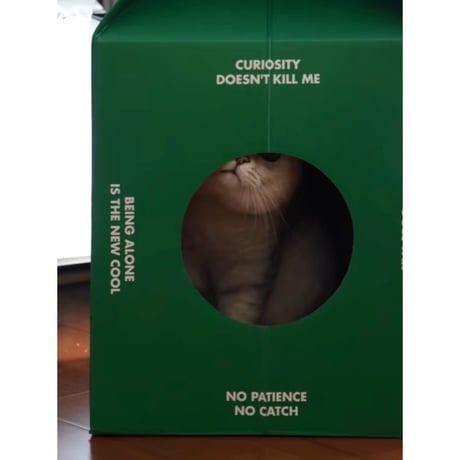 #グリーン パック型 キャットハウス 猫ハウス 爪とぎ ダンボールハウス