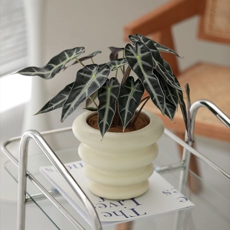 #ウエーブ セラミック 鉢カバー 全3色 植木鉢