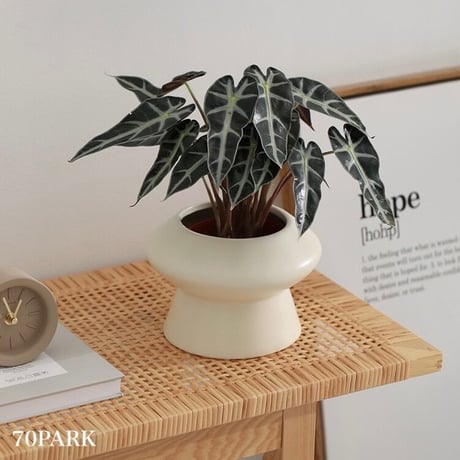 #UFO型 シンプル モダン セラミック 鉢カバー 全4色 植木鉢