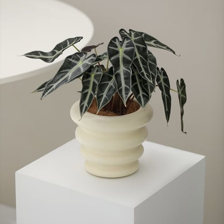 #ウエーブ セラミック 鉢カバー 全3色 植木鉢