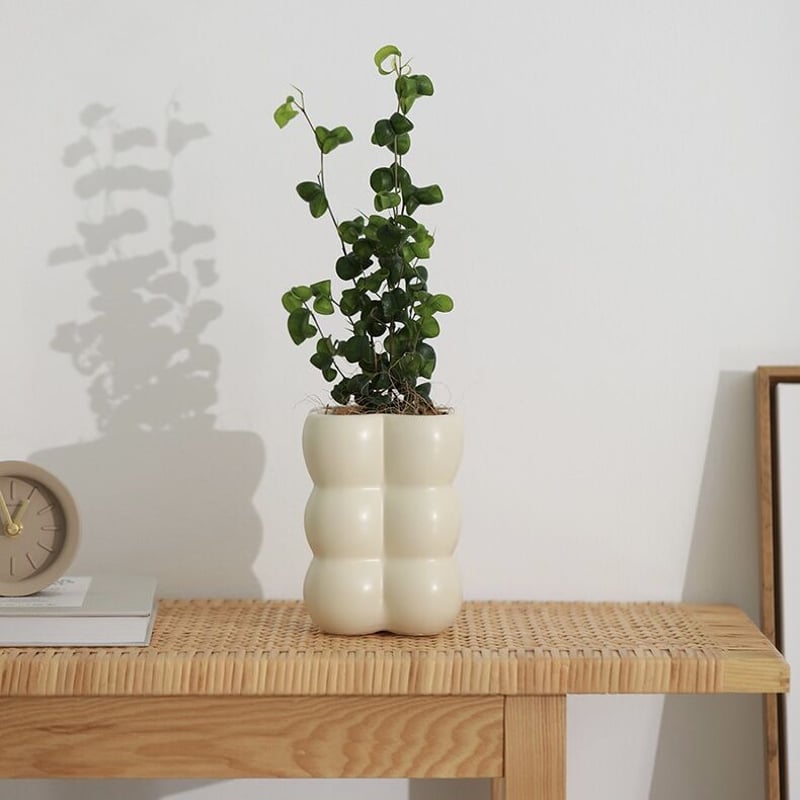 ポコポコ バブル セラミック 鉢カバー 全4色 植木鉢 | 70PARK