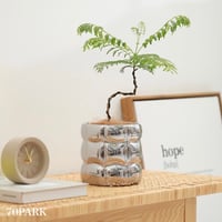 #スクエア ポコポコ セラミック 鉢カバー 全3色 植木鉢