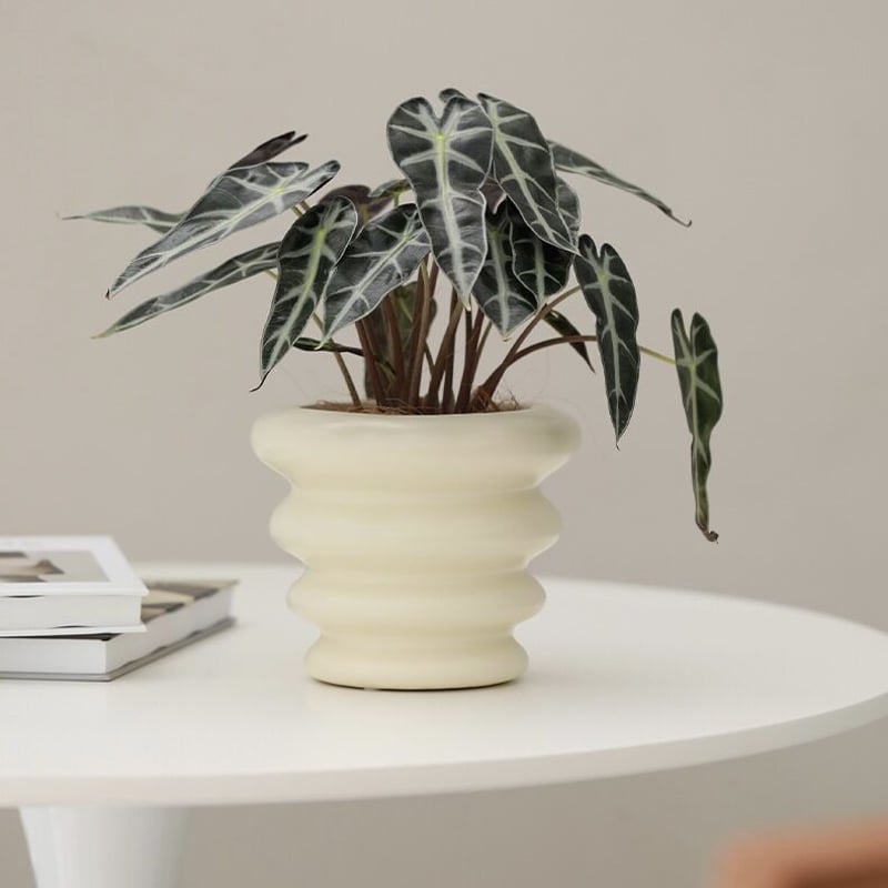 ウエーブ セラミック 鉢カバー 全3色 植木鉢 | 70PARK