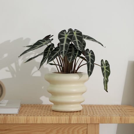 #ウエーブ セラミック 鉢カバー 全3色 植木鉢