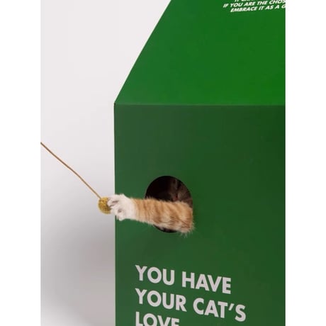 #グリーン パック型 キャットハウス 猫ハウス 爪とぎ ダンボールハウス