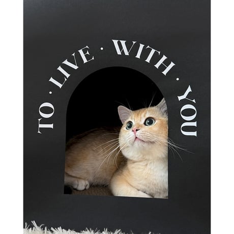 #ペーパーバッグ風 キャットハウス 全2色 猫ハウス 爪とぎ ハウス 折りたたみ