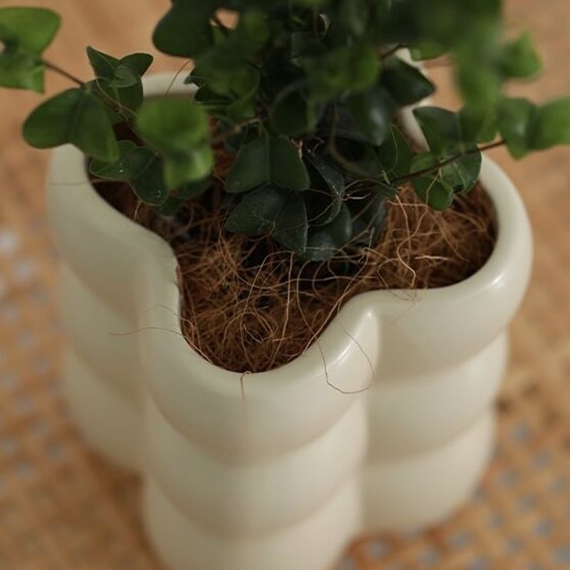 ポポ　パキポン　ヒビ鉢　グラゴイル　計8000円 ポポ パキポン ヒビ鉢 グラゴイル 計8000円 ポポ パキポン ヒビ