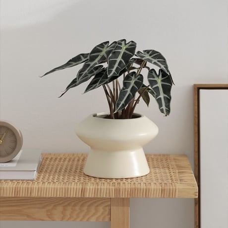 #UFO型 シンプル モダン セラミック 鉢カバー 全4色 植木鉢