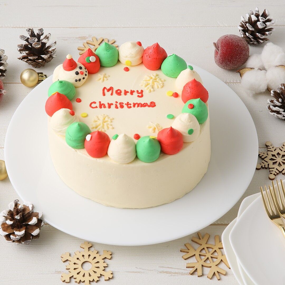 snowman ドームツアー フラルネリップバーS クリスマスケーキパンフ