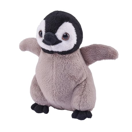 ワイルドリパブリック 公式SHOP -ネイチャーレイ-