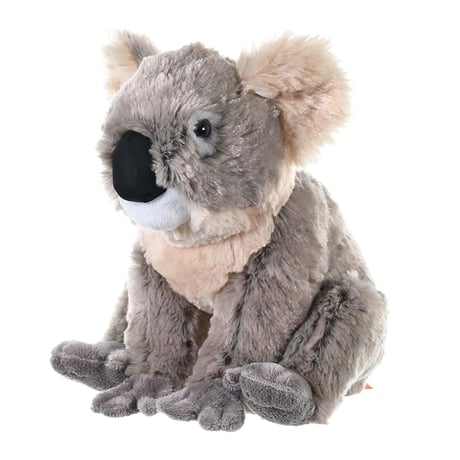 ワイルドリパブリック 公式SHOP -ネイチャーレイ-