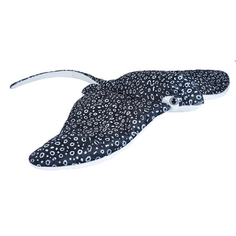 ぬいぐるみ カドルキンズ マダラトビエイ 22470