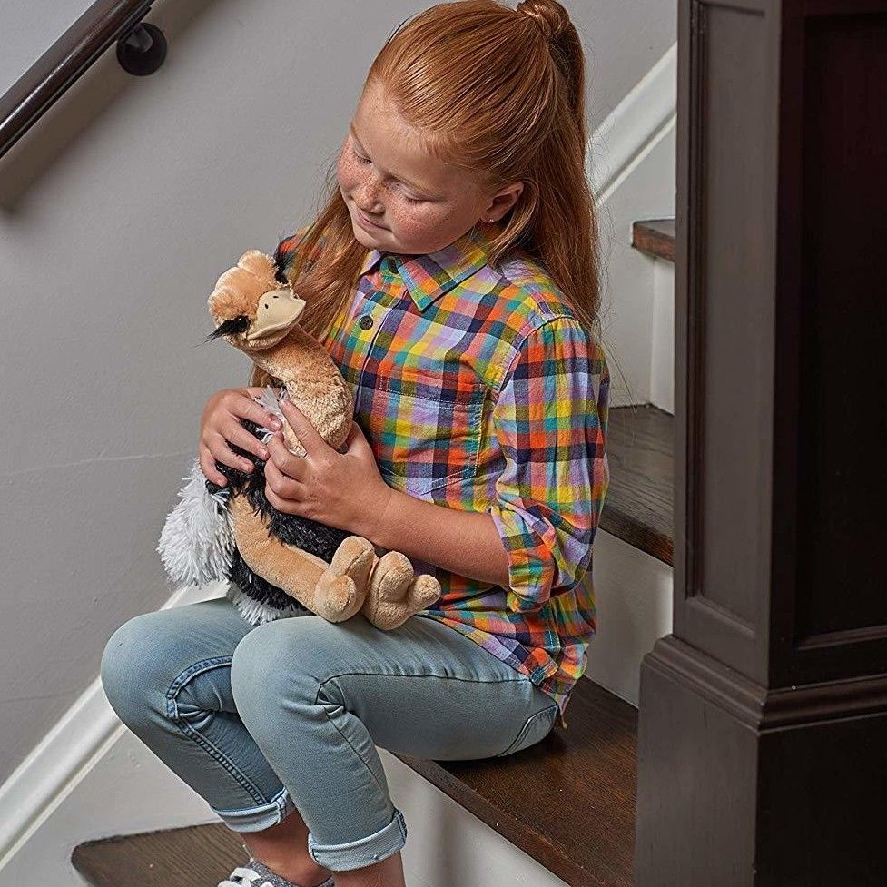 ぬいぐるみ ダチョウ 12