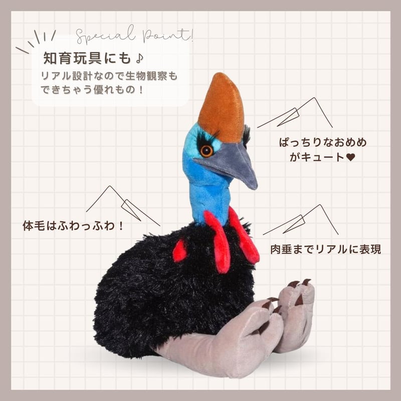 ぬいぐるみ ヒクイドリ 12