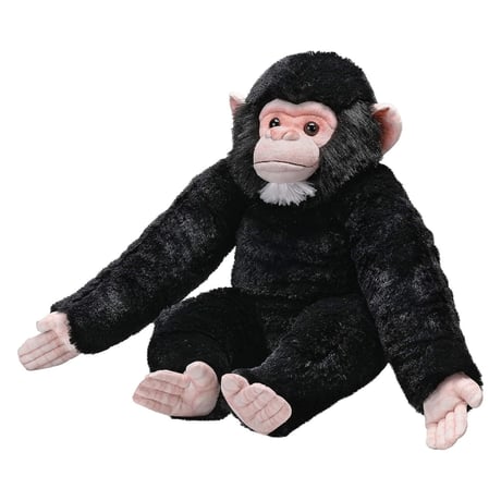 CATEGORY ・アーティスト | ワイルドリパブリック 公式SHOP