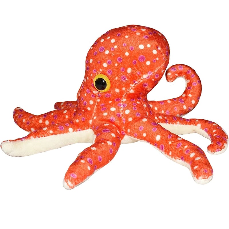 ♯Fui29KZ原色タコ・イカ図鑑シークレット入人気5種