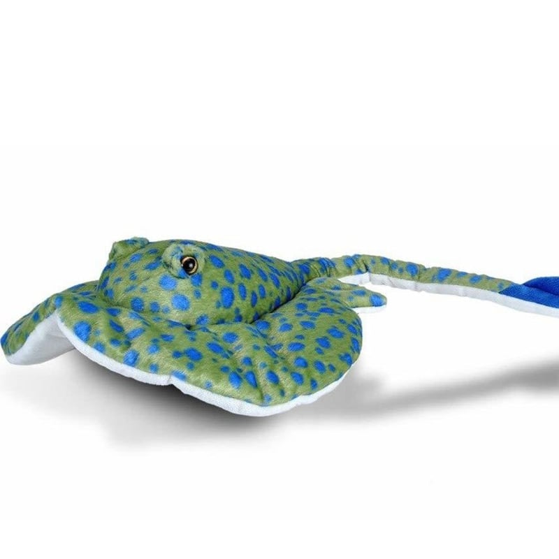 ぬいぐるみ ルリホシエイ 20