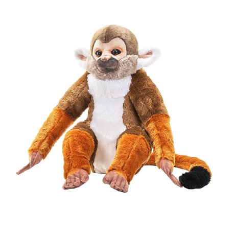 CATEGORY ・アーティスト | ワイルドリパブリック 公式SHOP