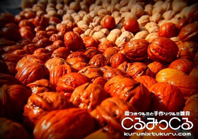 kico様専用 胡桃 くるみ クルミ 皮 樹皮 約5kg 【公式通販】