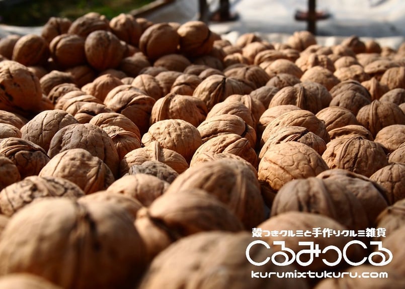 くるみページ Microsoft Graph PowerShell Admin Consent - Easy365Manager