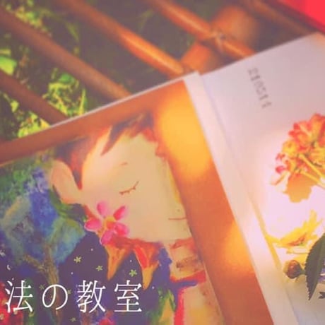 奥田珠紀 | STORES