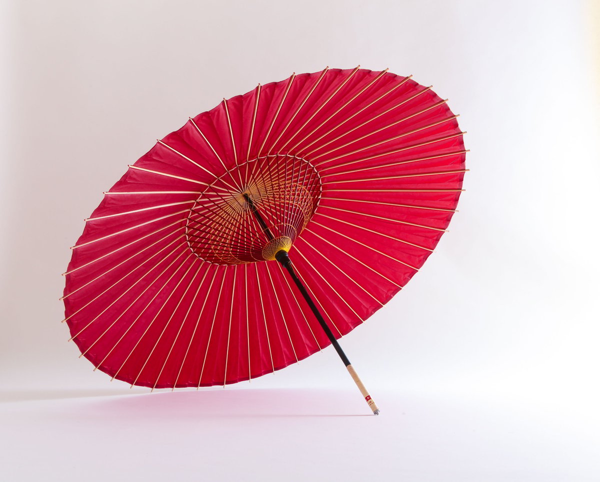 和傘 蛇の目傘 日本舞踊 直径105cm 見出さ