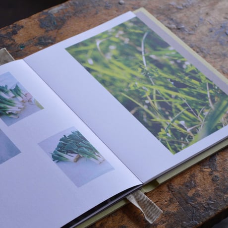 Work the Soul Must Have / Johanna Tagada Hoffbeck