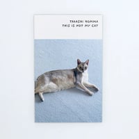 This Is Not My Cat / ホンマタカシ【サイン入】