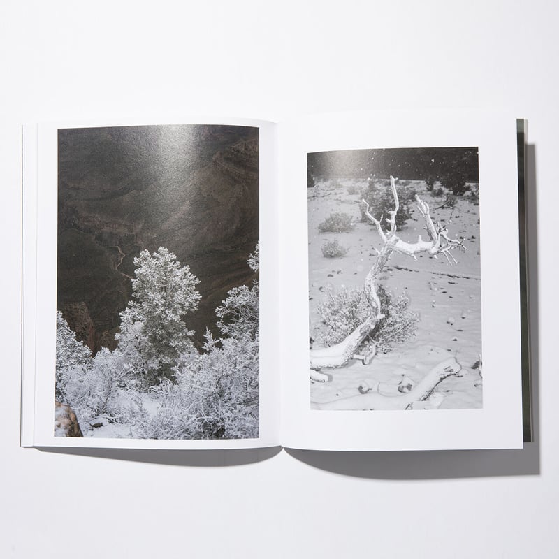 Disappear Into Earth / Colin Sussingham | READA Disappear Into Earth / Colin Sussingham | READA