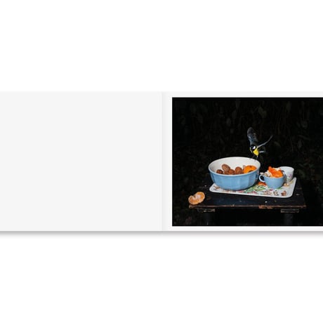 PLATES I-XXXI / Lia Darjes
