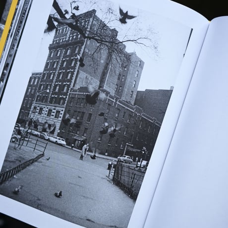 KIJIMA TAKASHI, NEW YORK, 1960