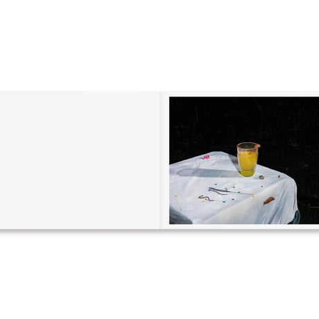 PLATES I-XXXI / Lia Darjes