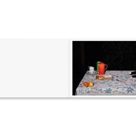 PLATES I-XXXI / Lia Darjes