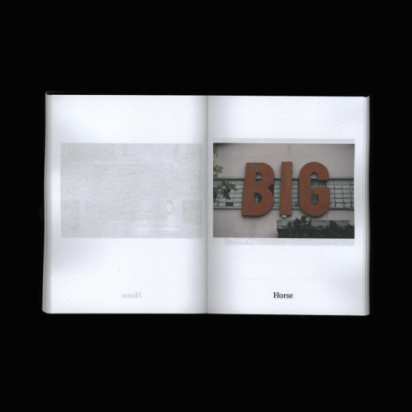 Dictionary / Anne Geene, Arjan de Nooy