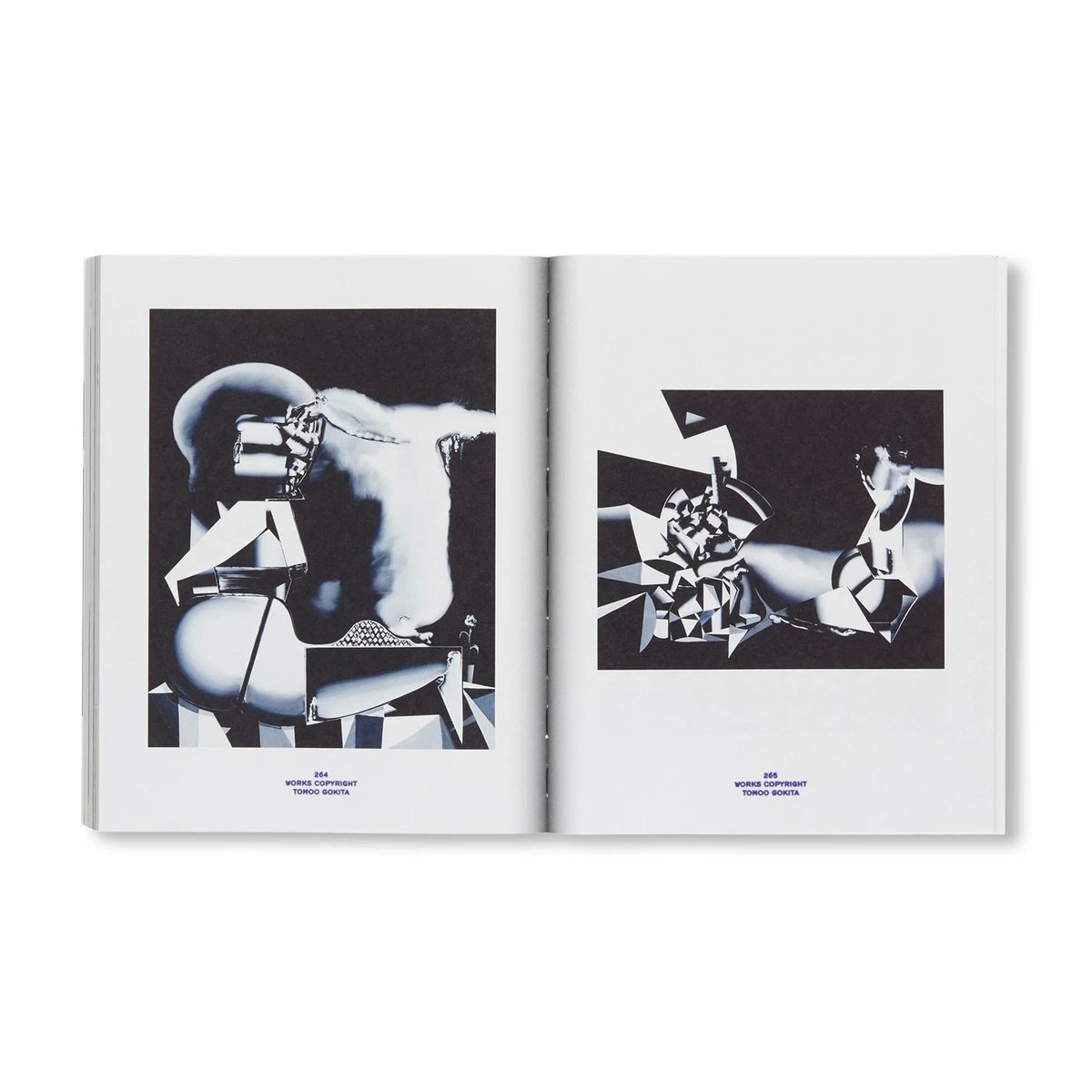 WORKS COPYRIGHT / 五木田智央 | READAN DEAT